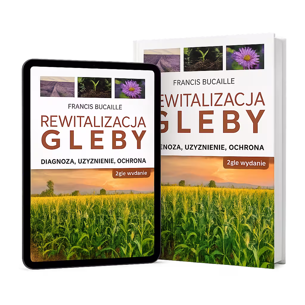 Mockup Ebook Tablet V03