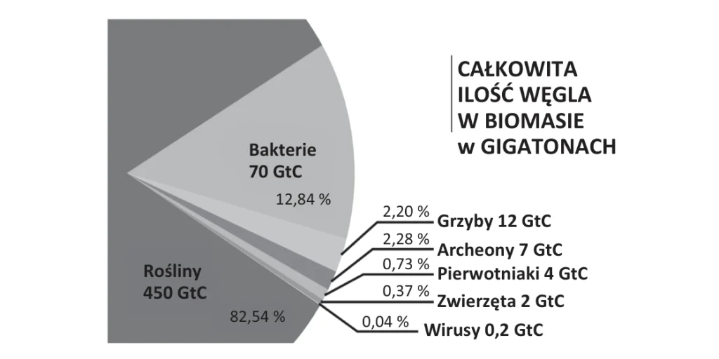 Wykres rozkładu biomasy lądowej według grup organizmów: rośliny 450 GtC, bakterie 70 GtC, grzyby 12 GtC